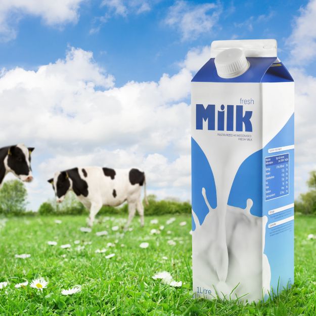 Milk UHT